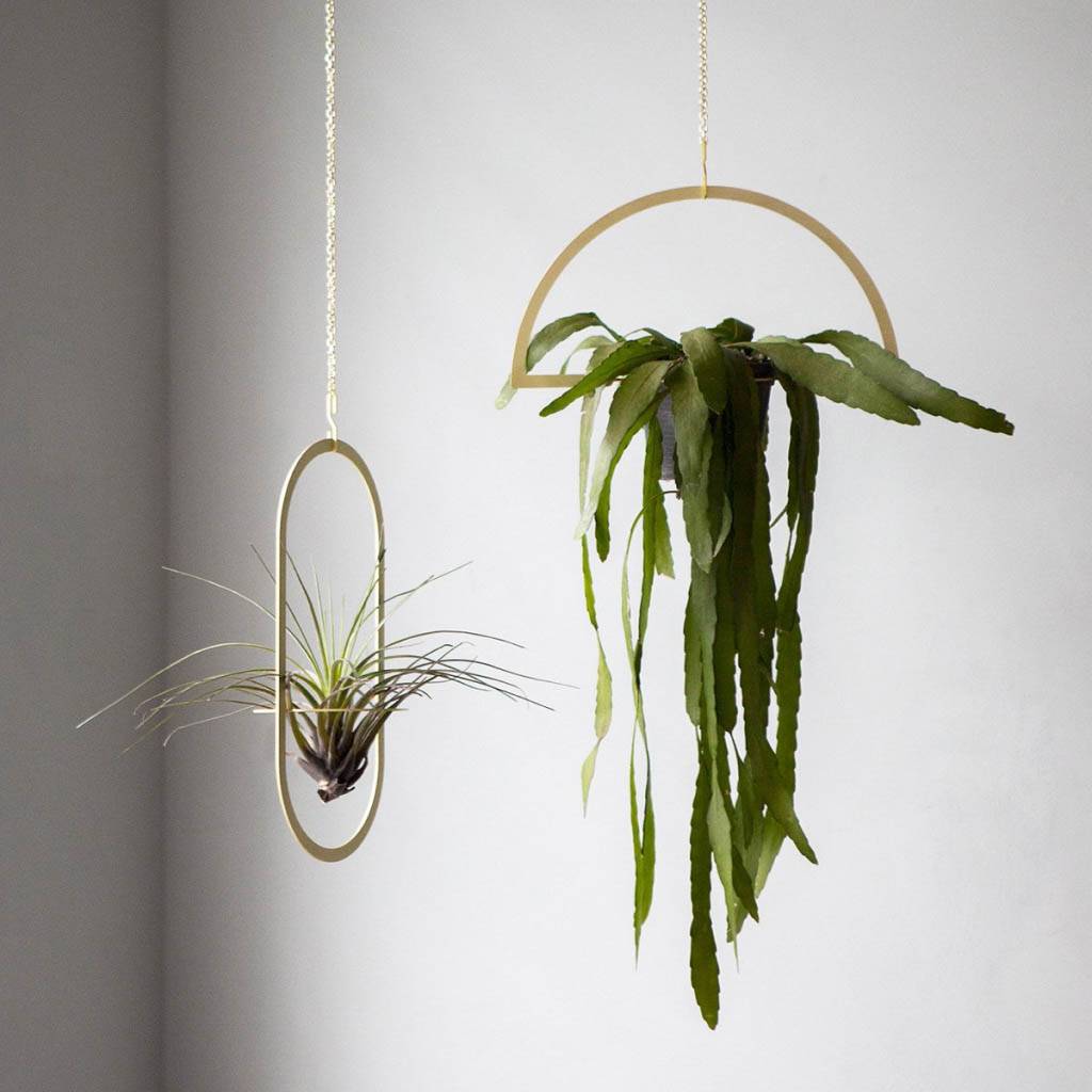 Gold Hanging Semicircle Plant Holder Home & Kitchen Gold Hanging Semicircle Plant Holder Home & Kitchen