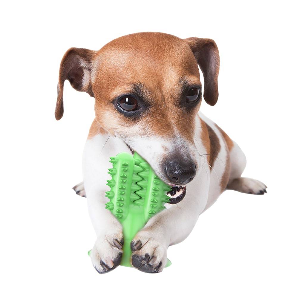 Cactus Dog Toothbrush Pet Supplies Cactus Dog Toothbrush Pet Supplies
