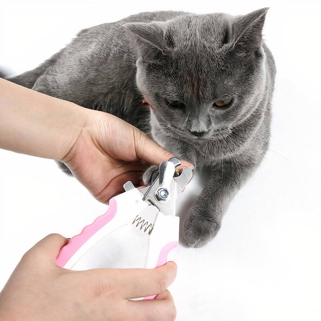 Pet Nail Clipper Pet Supplies Pet Nail Clipper Pet Supplies