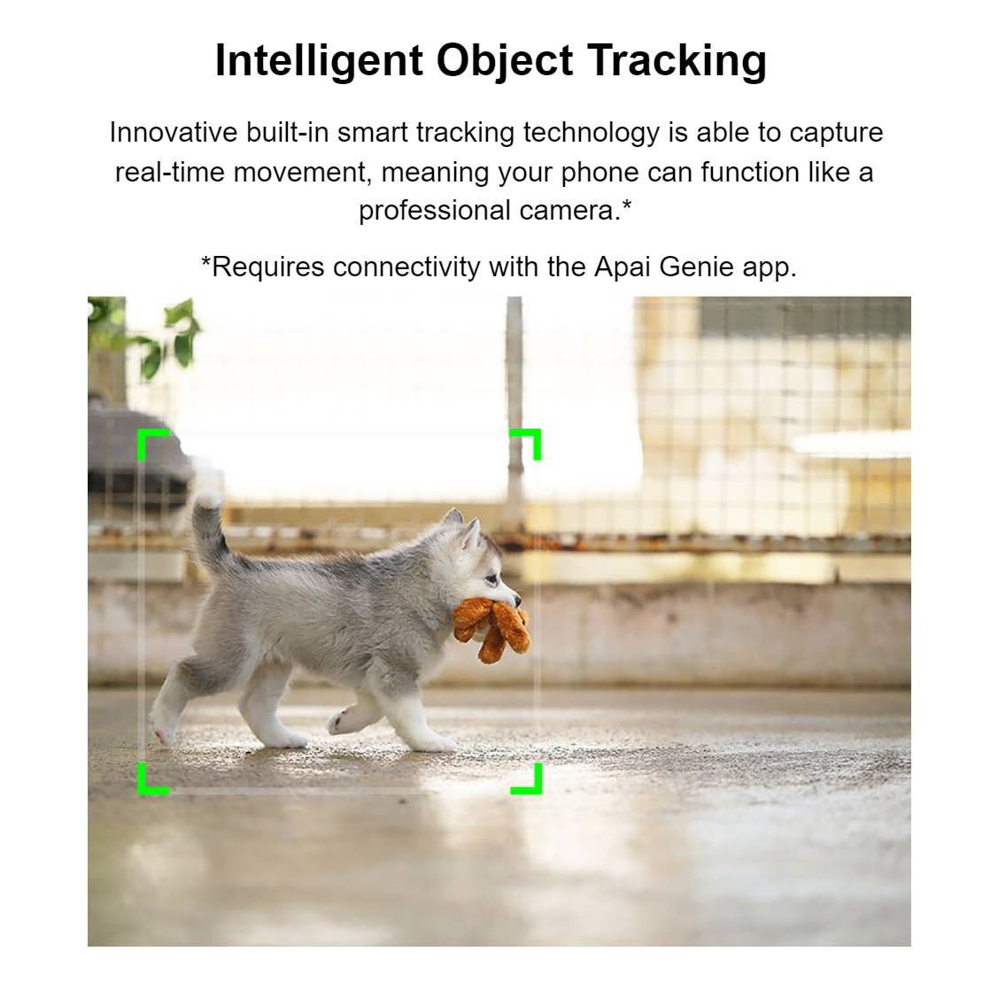 Robot Cameraman Gadgets & Electronics Robot Cameraman Gadgets & Electronics