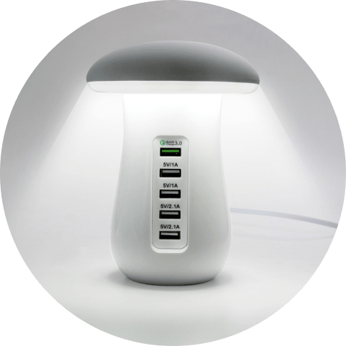 1-min - 2021-08-19T110656.401 Mushroom Lamp Charger Station