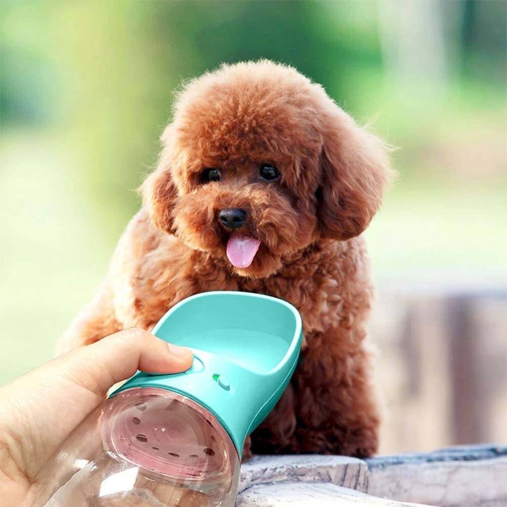 Portable Pet Water Bottle Best Sellers Pet Supplies Color : Pink|Turquoise |White Portable Pet Water Bottle Best Sellers Pet Supplies Color : Pink|Turquoise |White